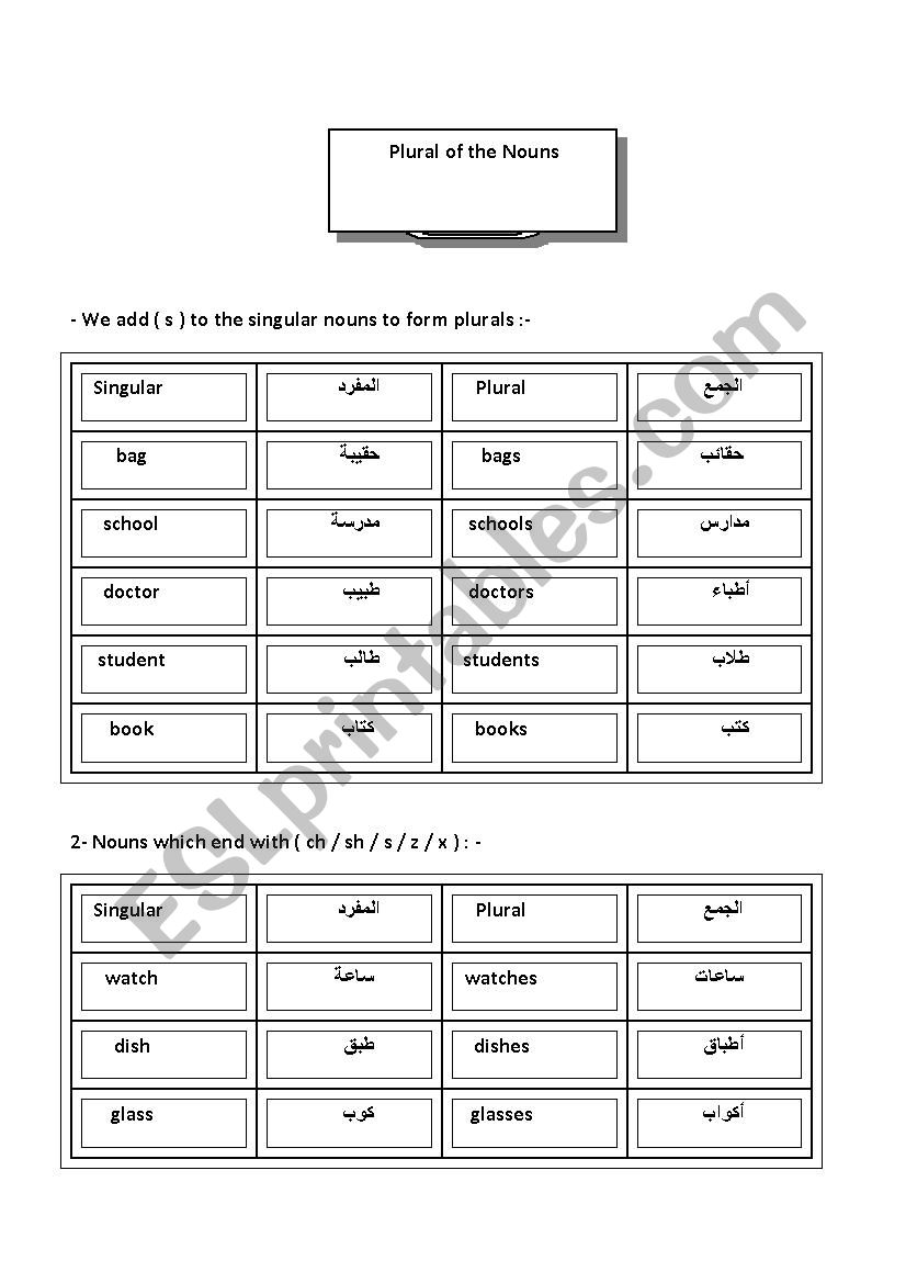 plural of noun worksheet