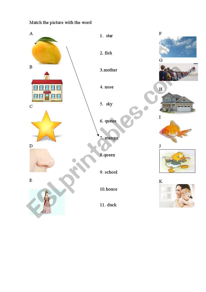 match the picture with the word