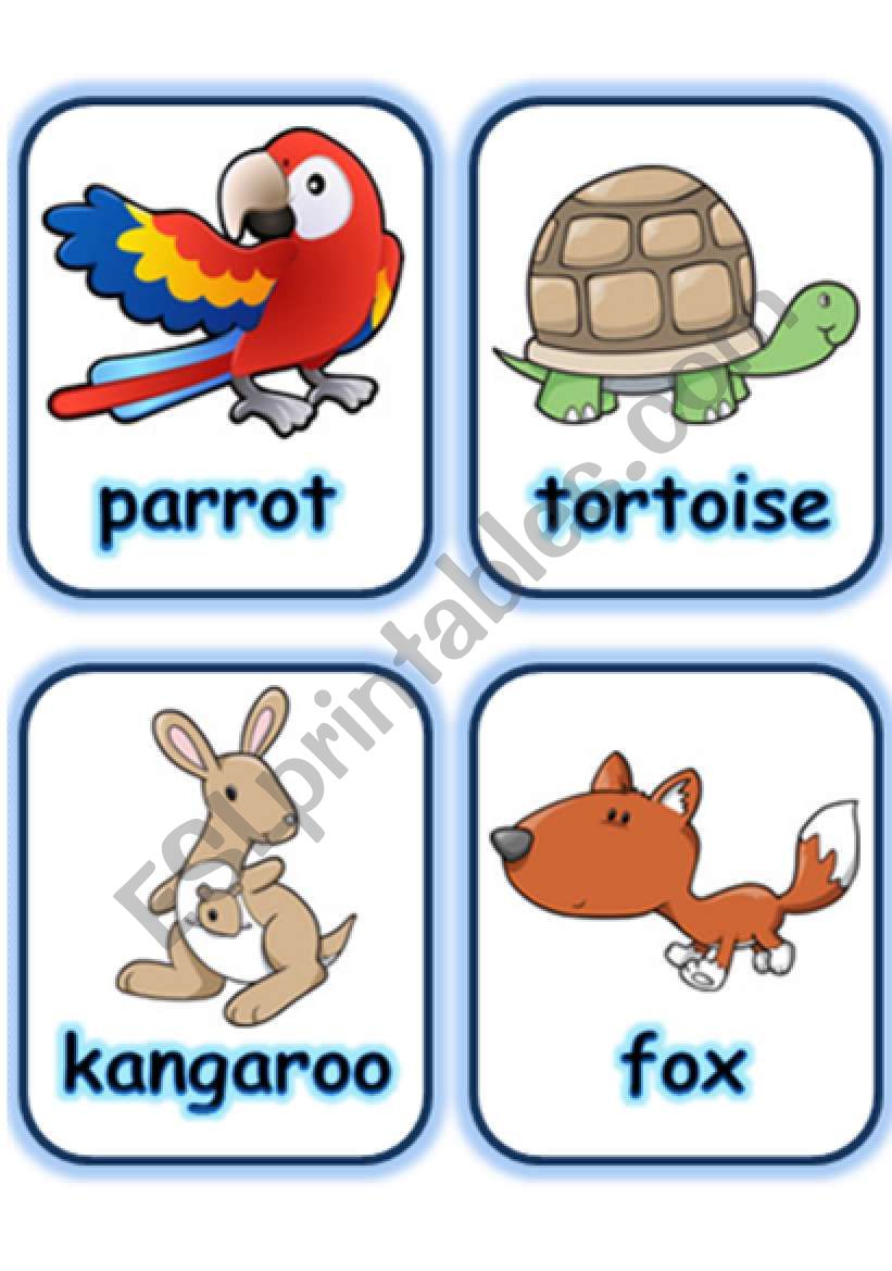  FLASHCARD SET 4- OTHER ANIMALS - PART 4 OF 5 (29.07.2008)