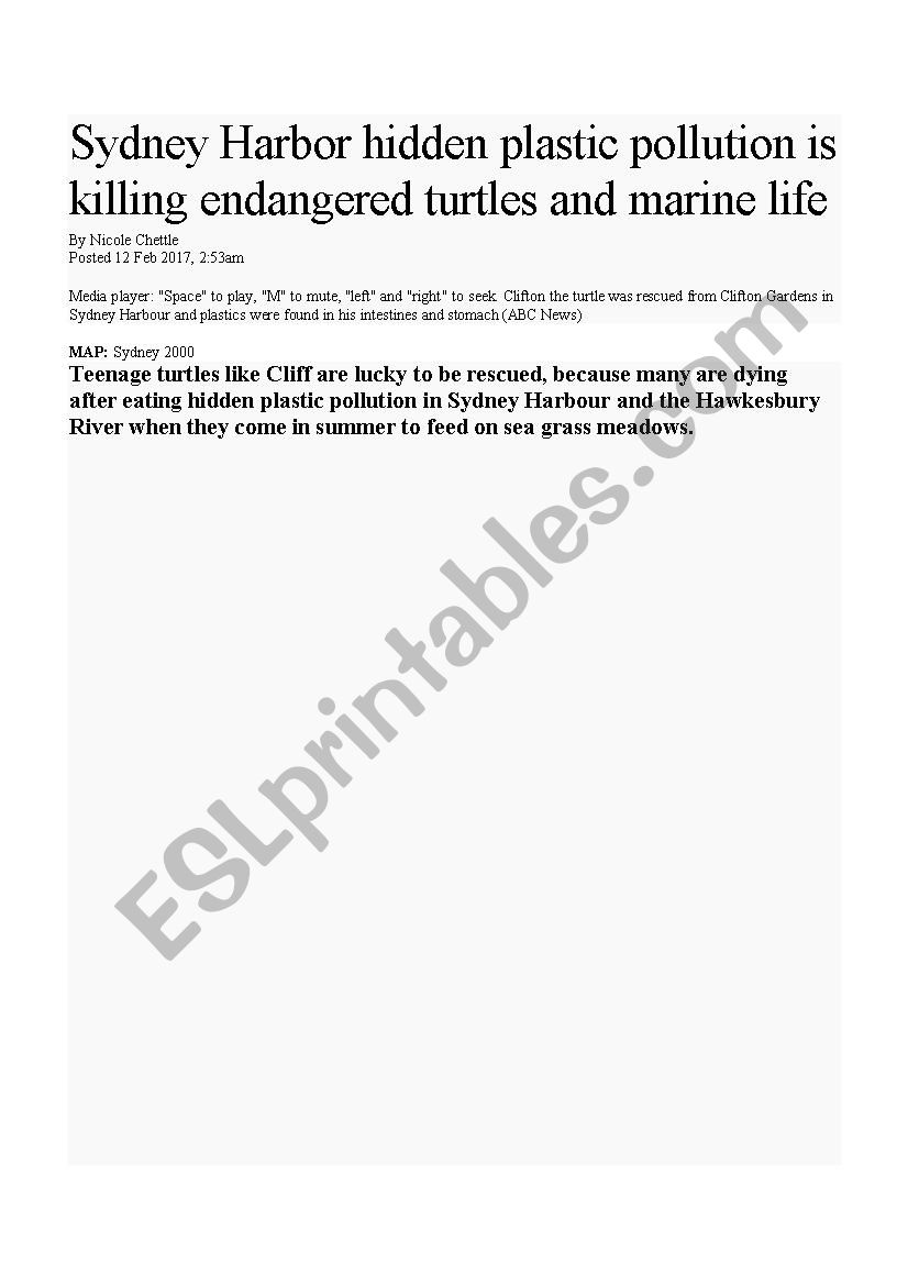 Hidden Plastic Pollution  worksheet
