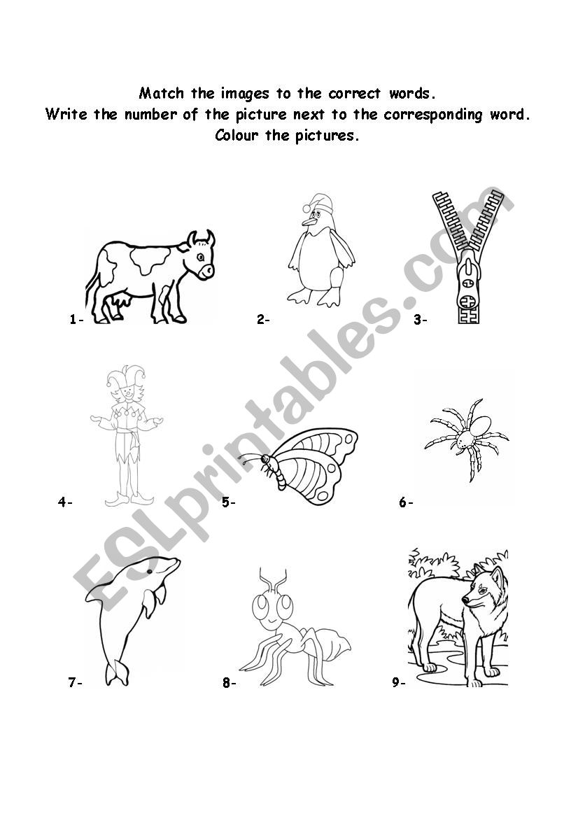 Matching (Cow) worksheet