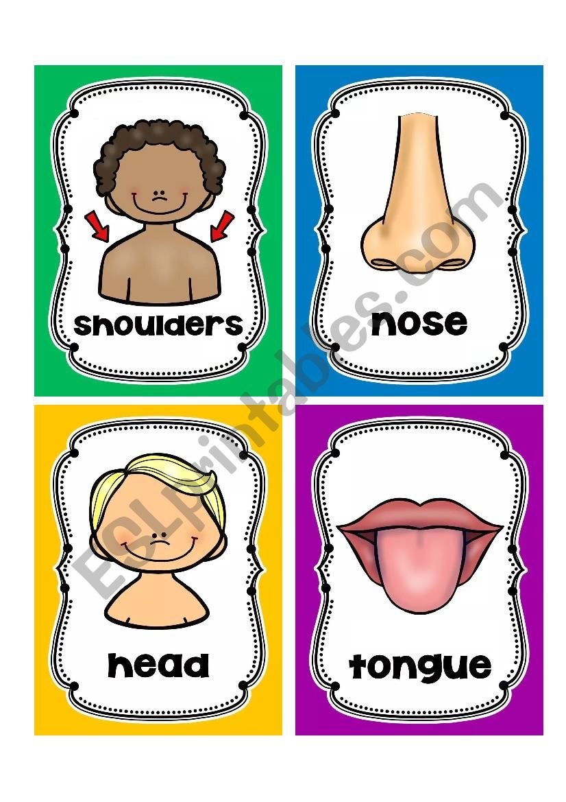Body Parts Flashcards Free Printable Printable Word Searches