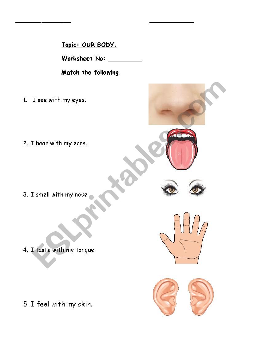 OUR BODY worksheet