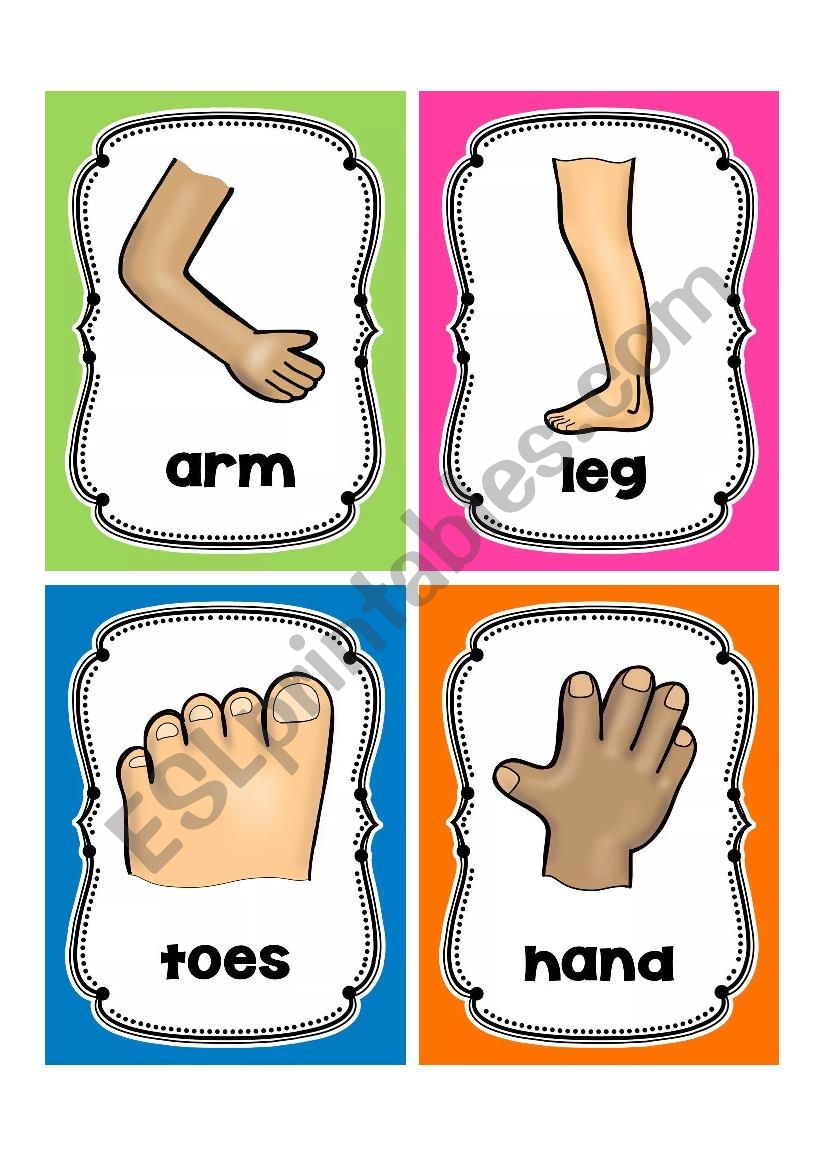 BODY PARTS FLASHCARDS3 ESL Worksheet By Blizh