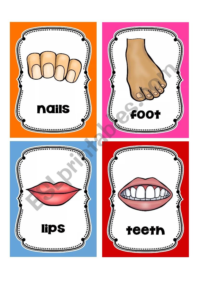 Body Parts Flashcards4 Esl Worksheet By Blizh