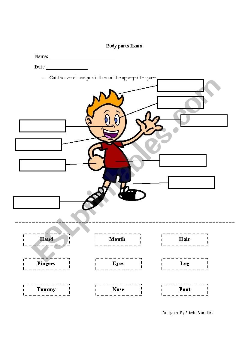 Body parts exam worksheet