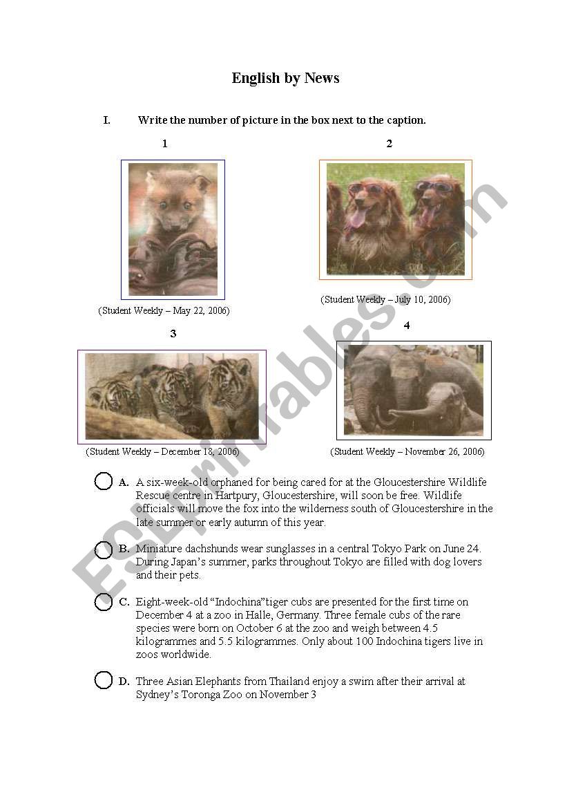English by news worksheet