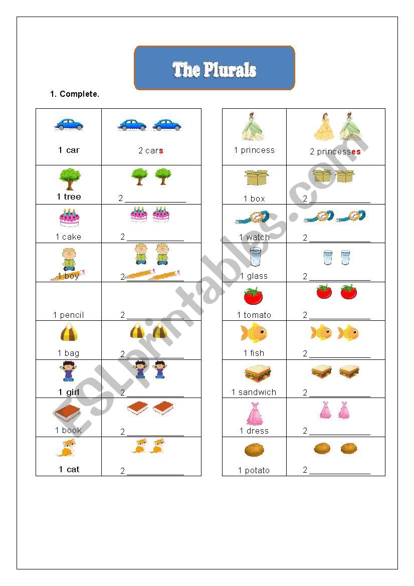 Fill with the correct plural worksheet