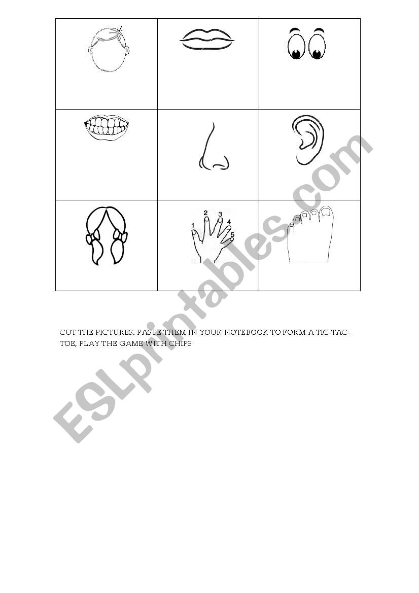 FACE TIPO - TAP - TOE worksheet
