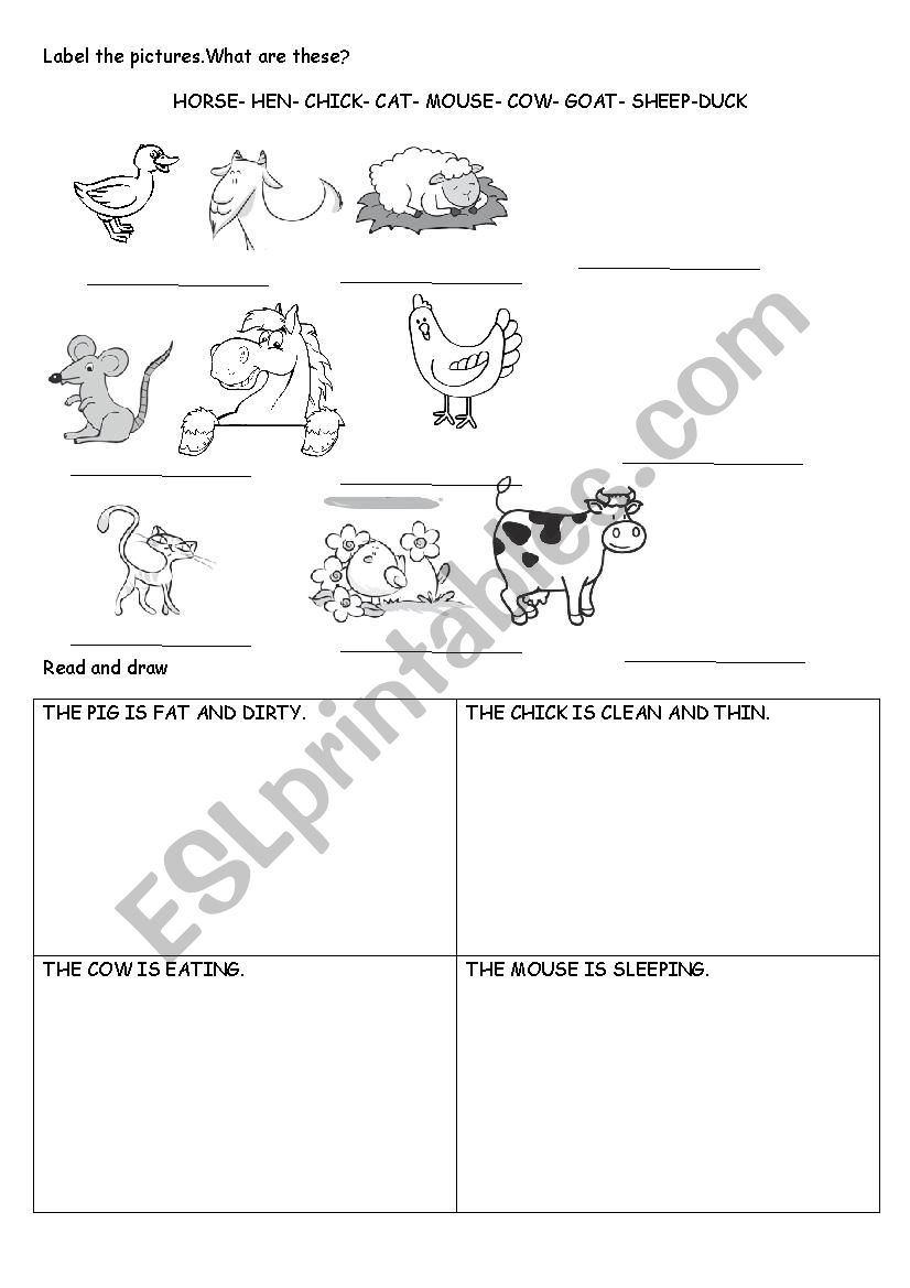 Farm animals worksheet