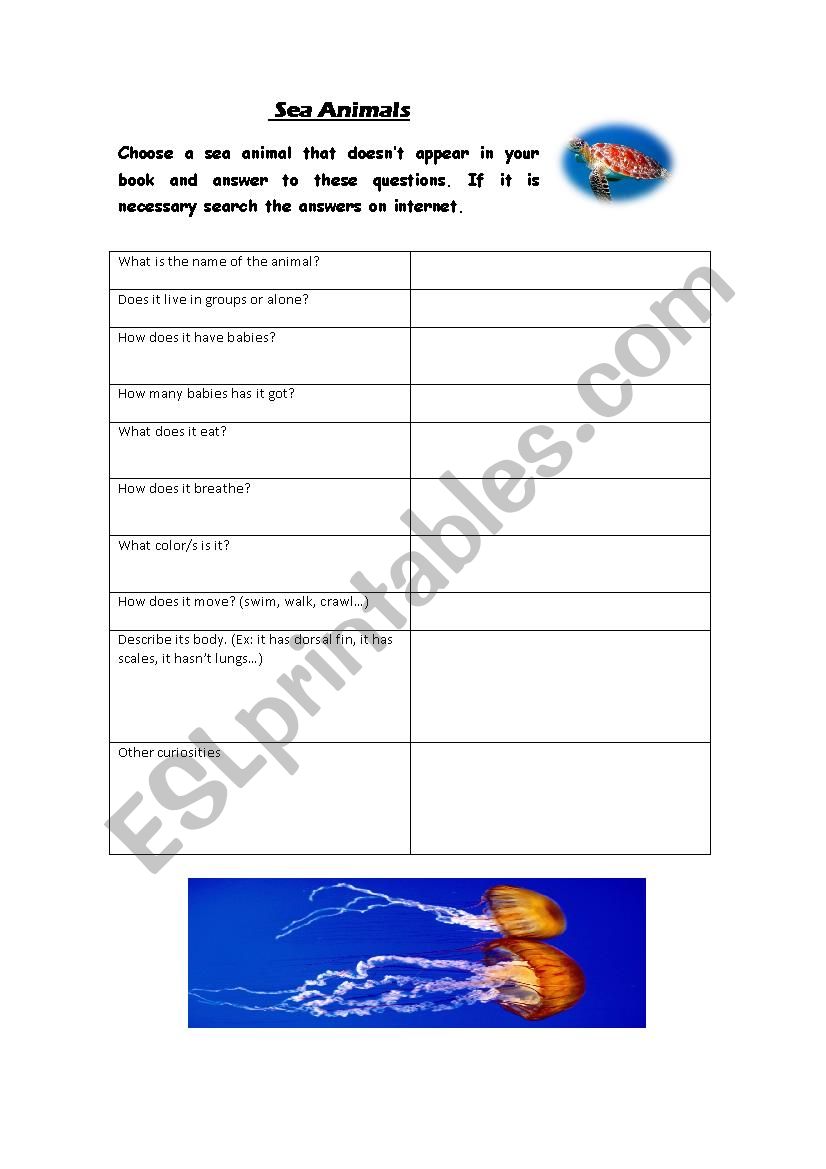 animals - ESL worksheet by oneal4