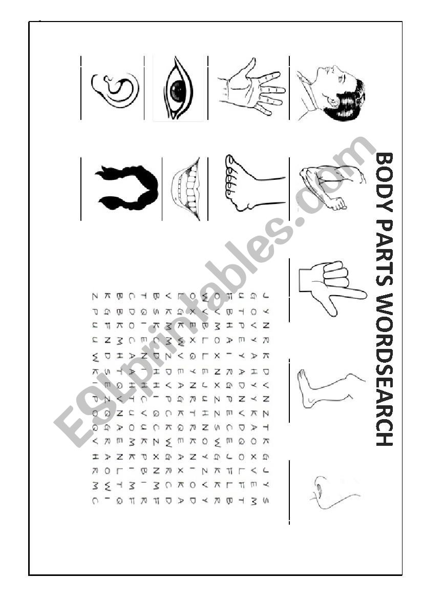 Body Parts WordSearch worksheet