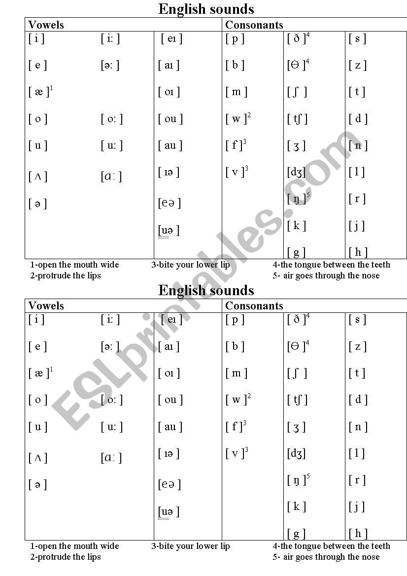 Guide how to read the transcription editable