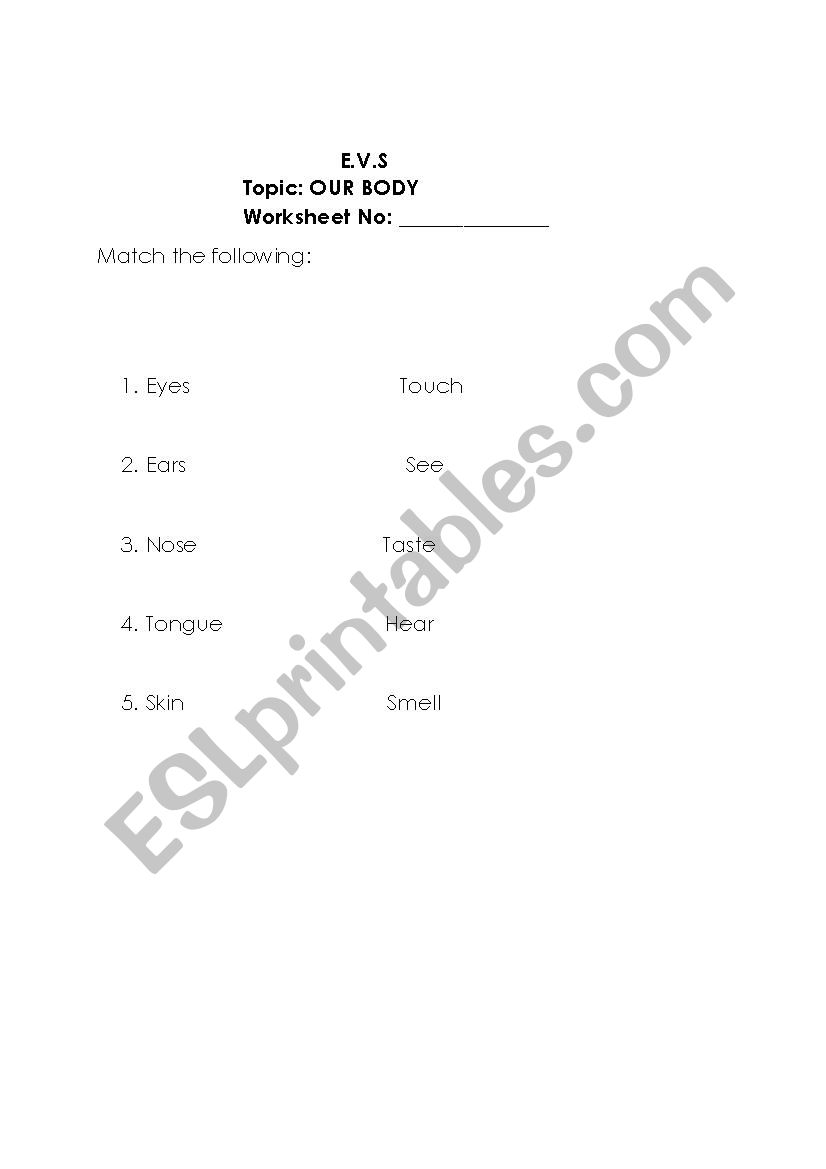 OUR BOBY worksheet