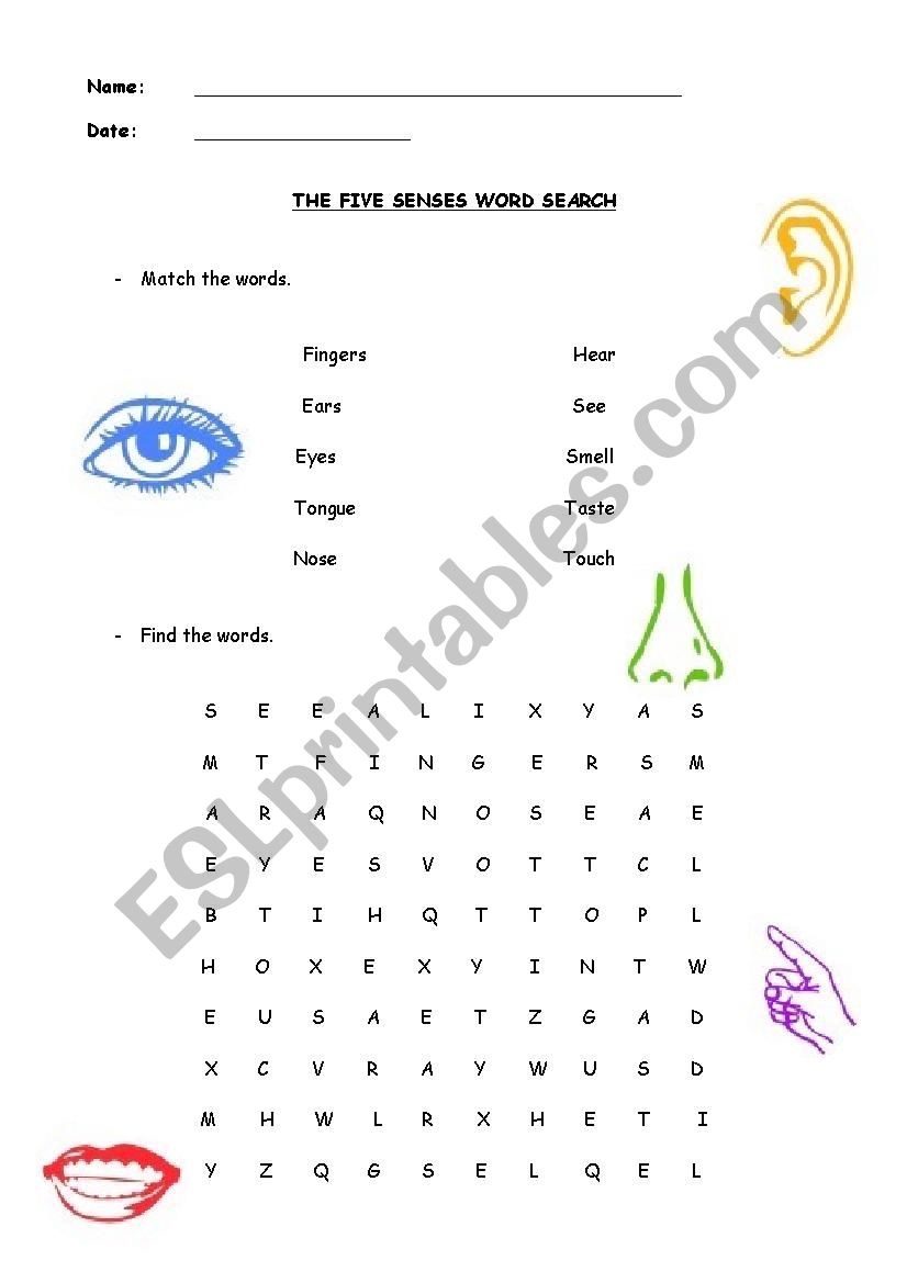crossword 5 senses worksheet