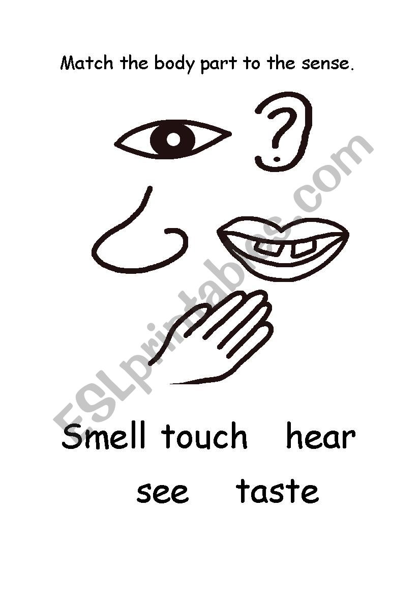 Match the Body Part to the Sense