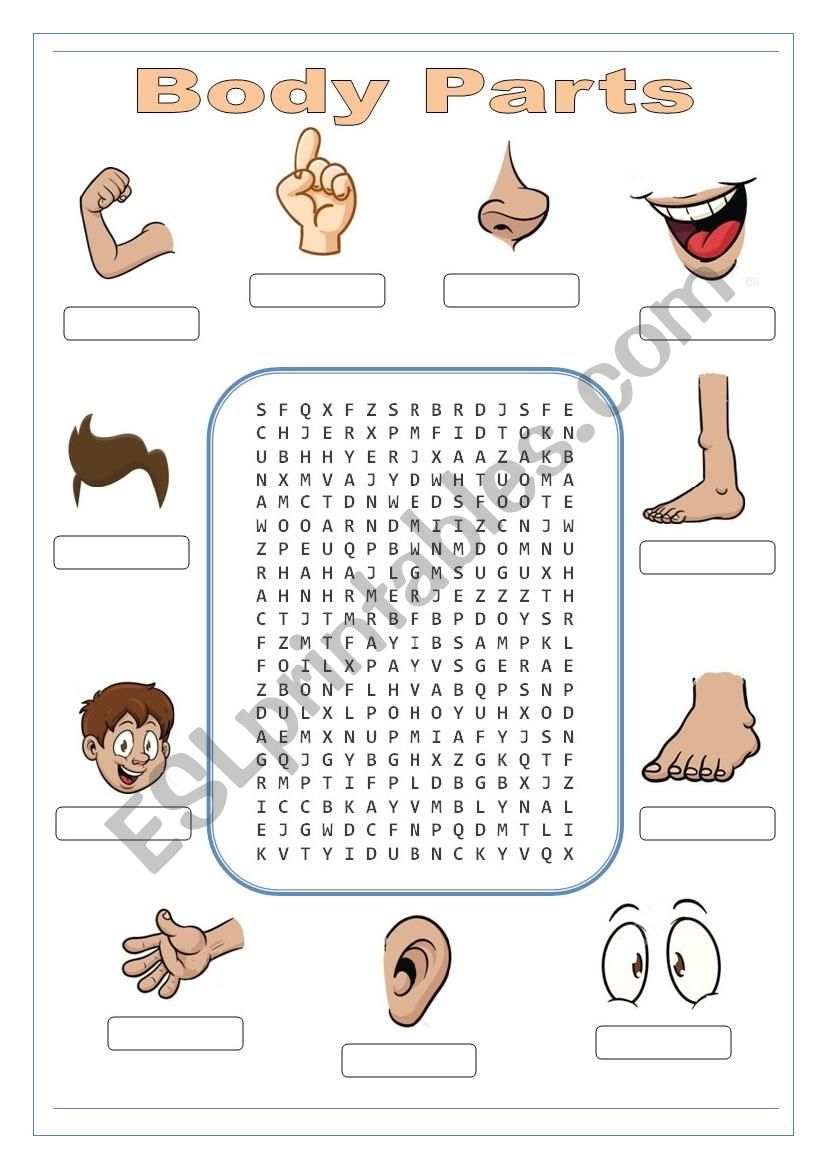 Parts of Body Wordsearch worksheet