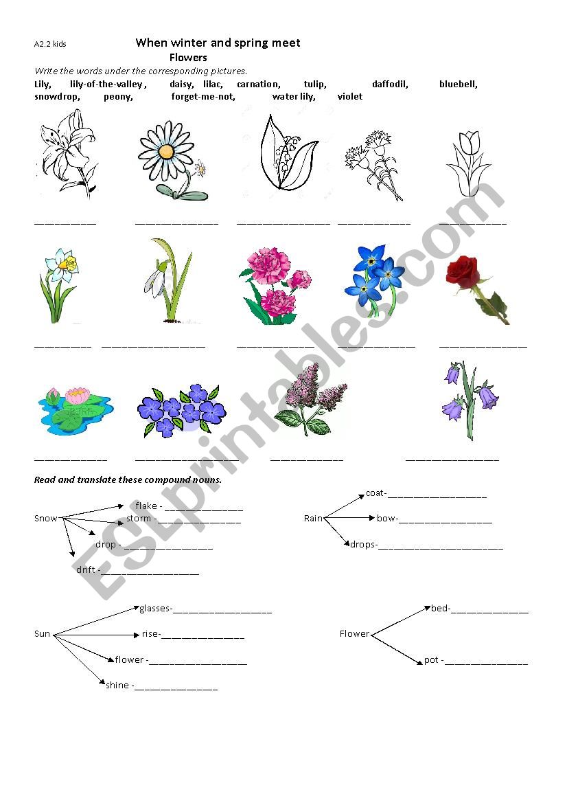 Spring and Winter meet worksheet