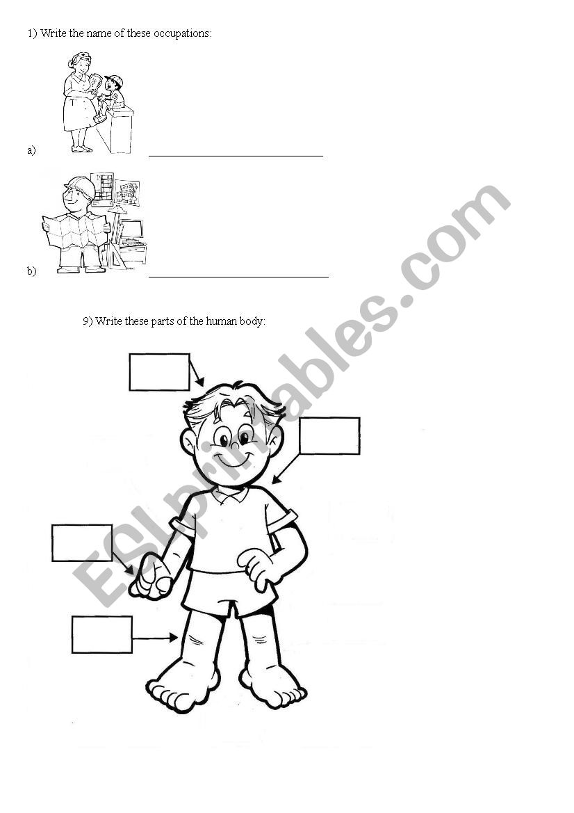 Parts of the body worksheet