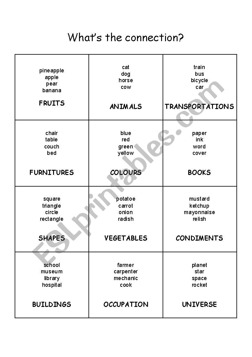 What is the connection ? worksheet