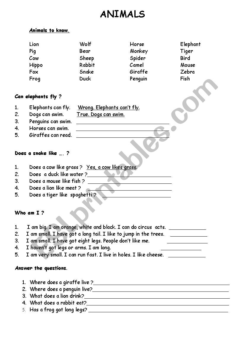 animals worksheet