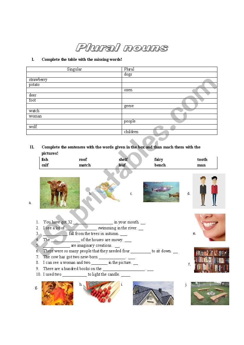 Plural nouns worksheet