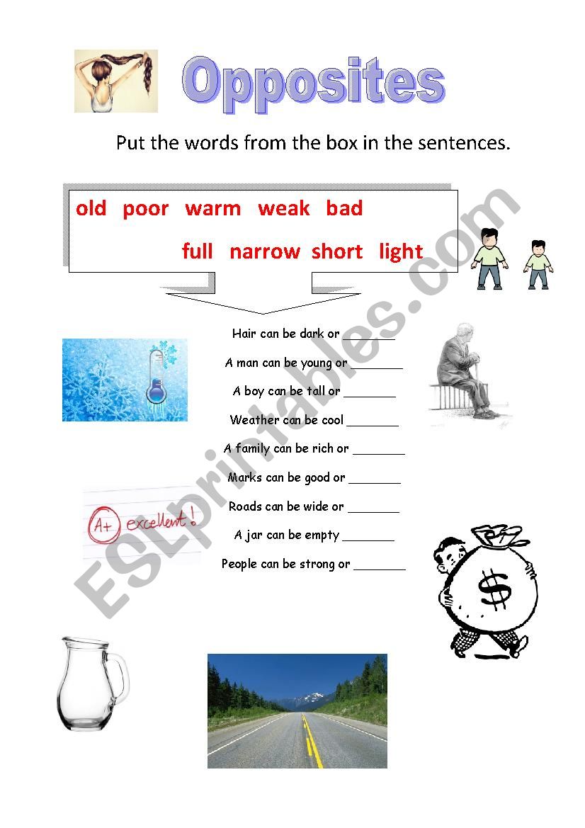 Opposites worksheet