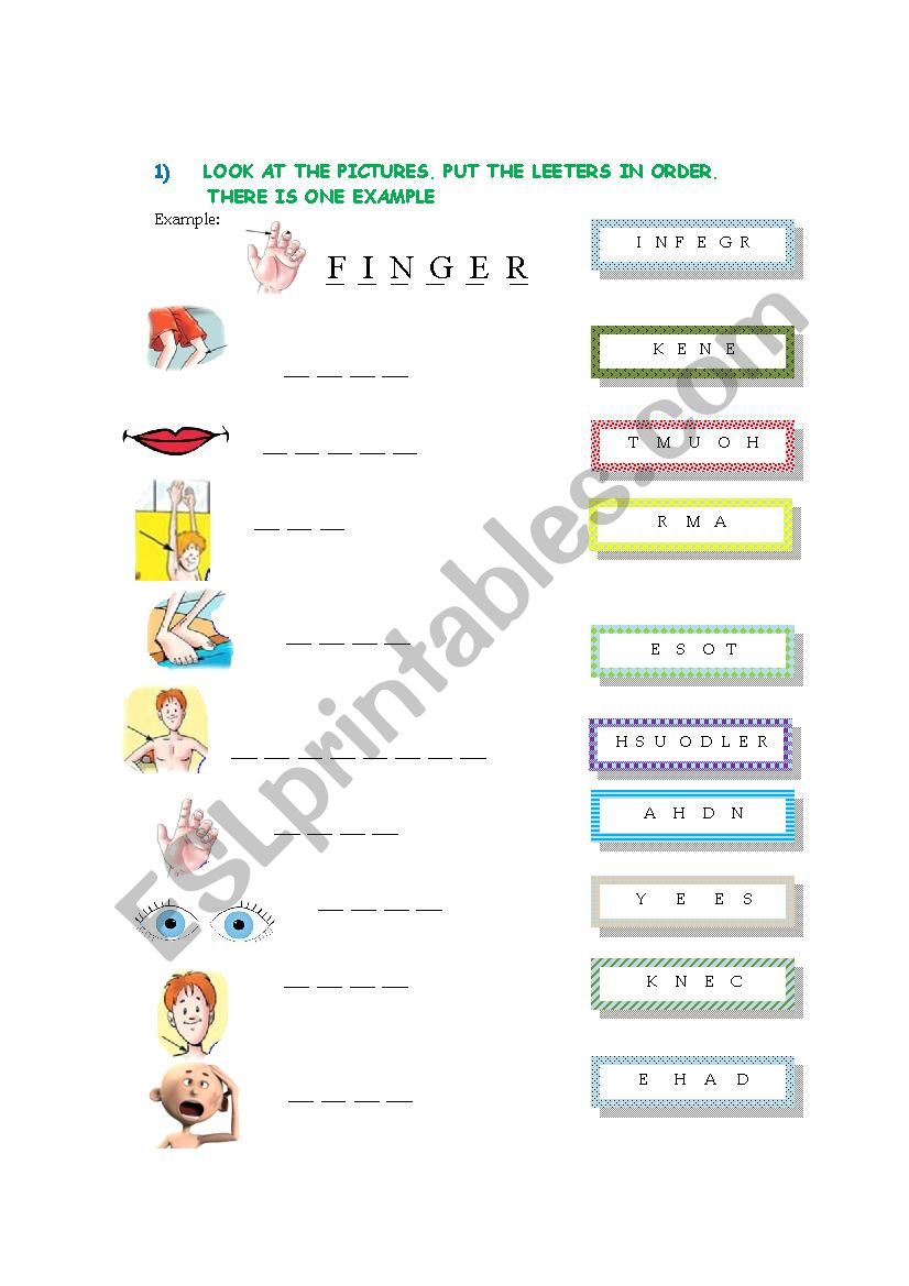 body parts worksheet