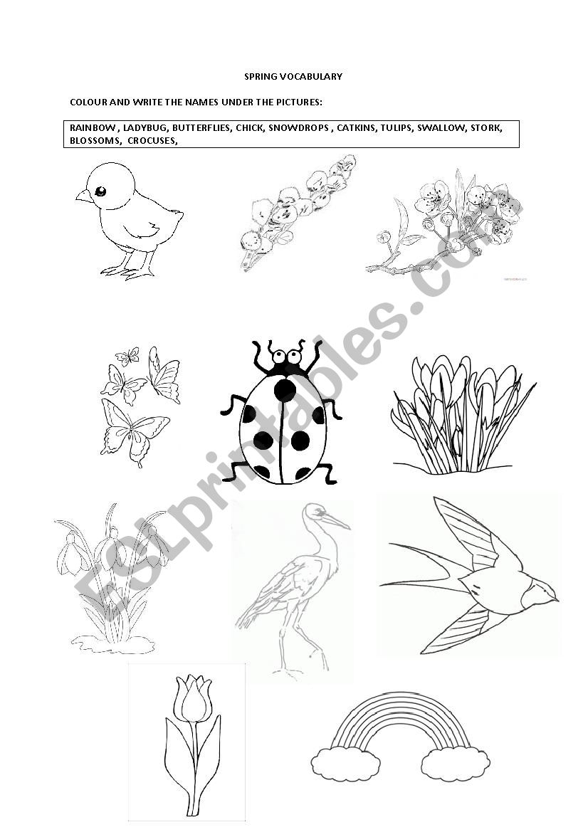 spring vocabulary worksheet