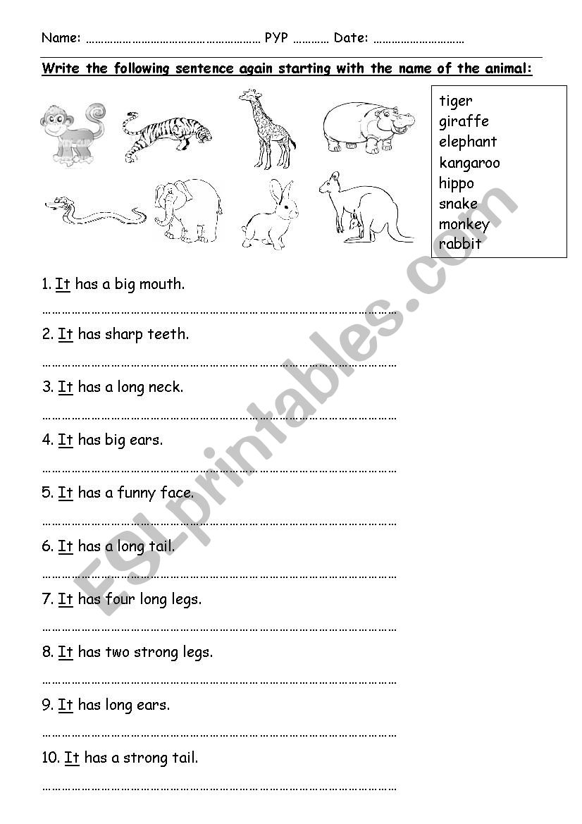 A puzzle + Writing using verb to have