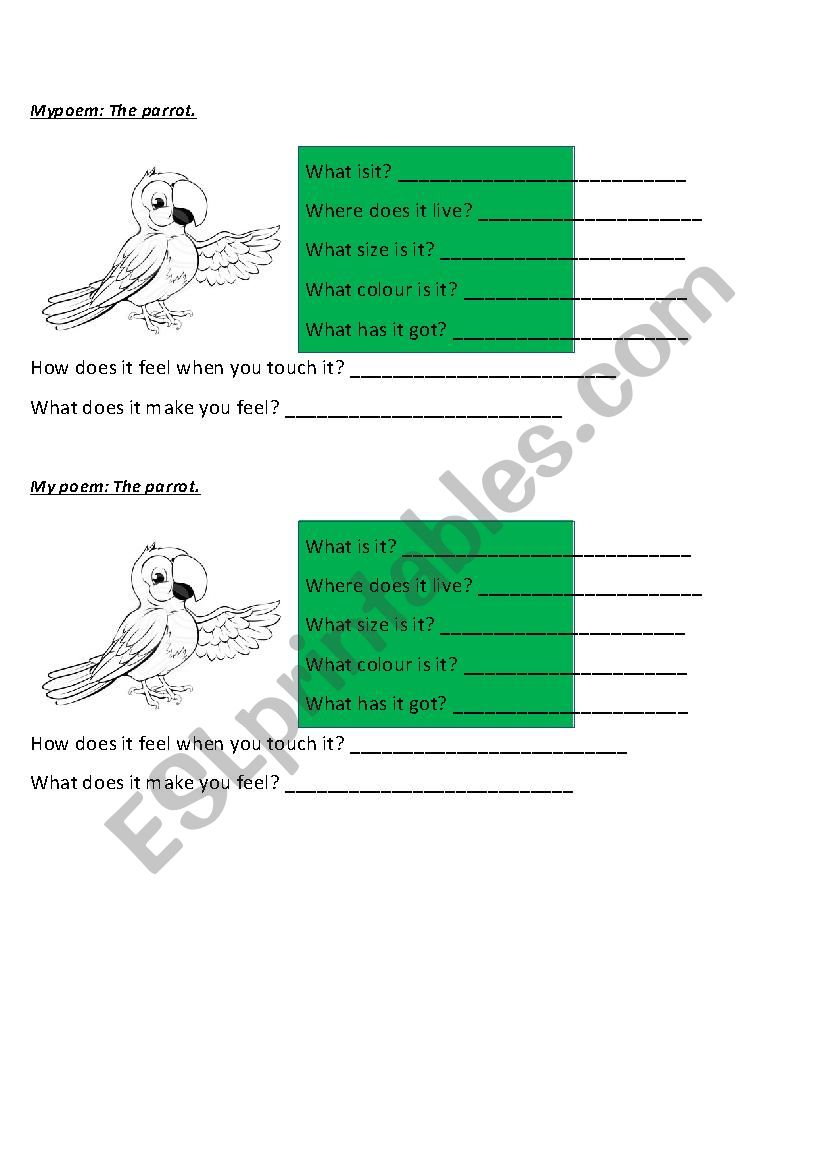 My parrot poem worksheet