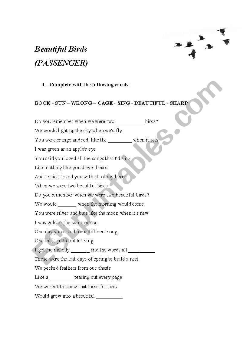 Beautiful Birds (Passenger) worksheet