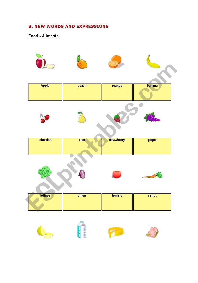 food worksheet