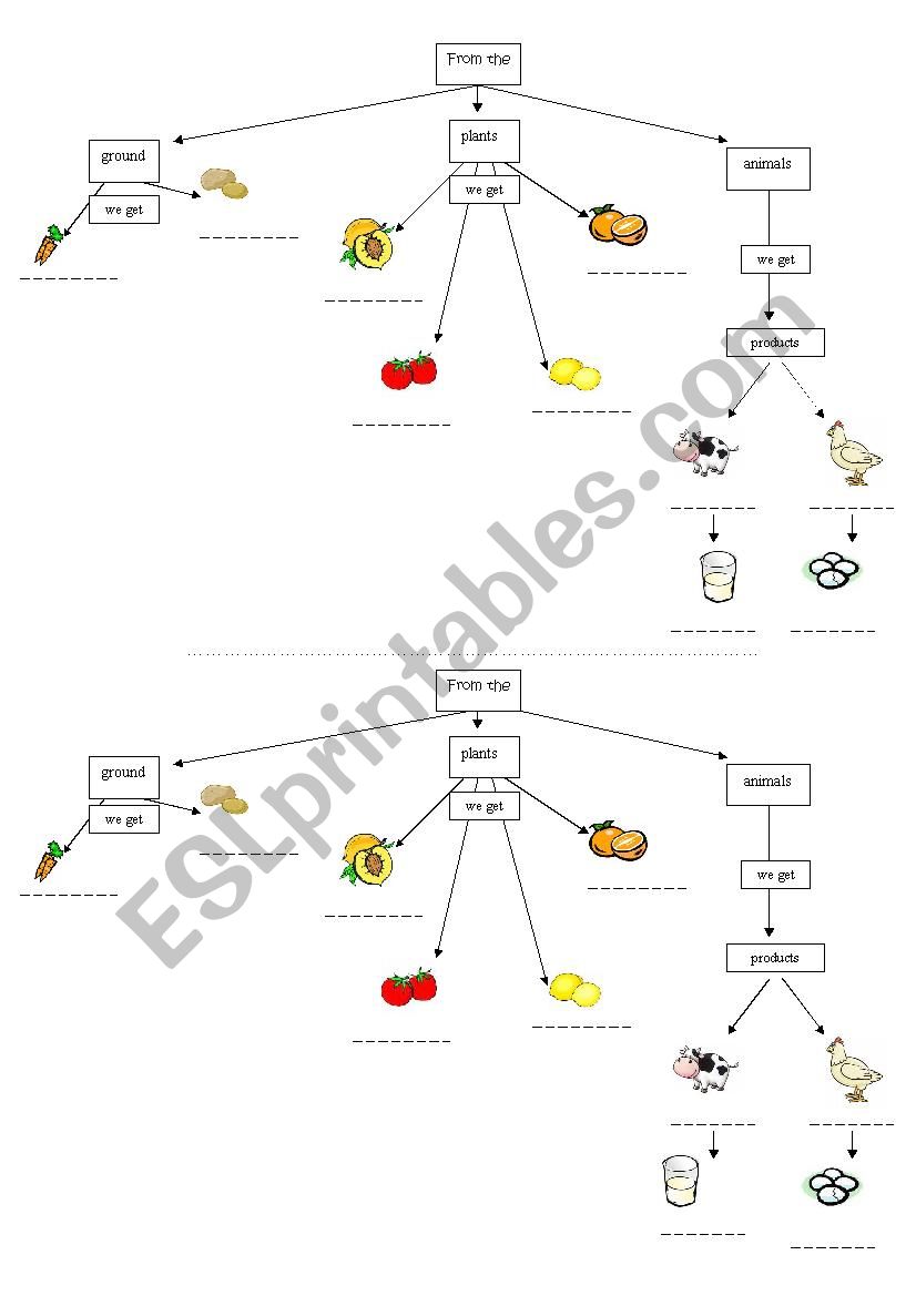 FOOD worksheet