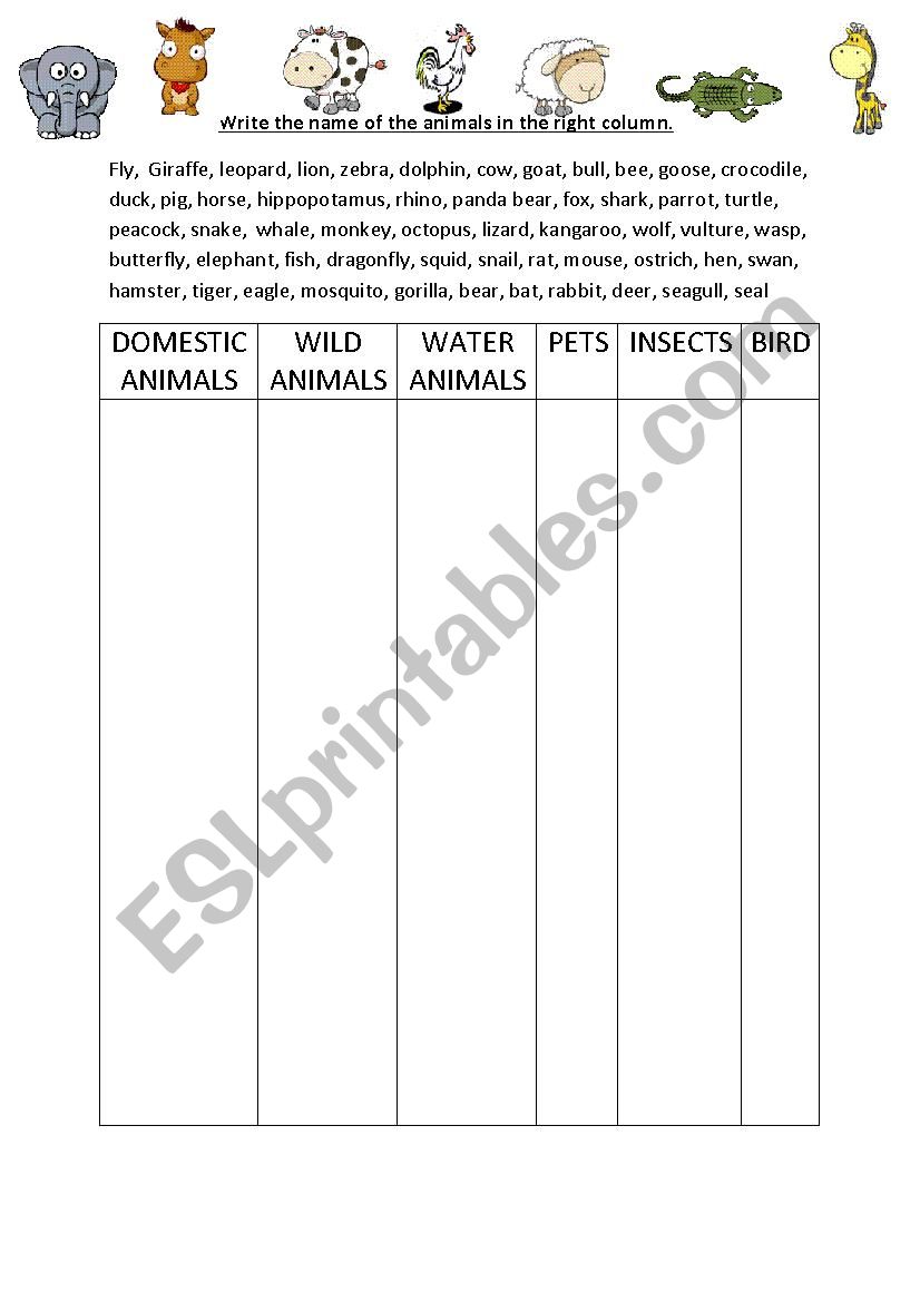 ANIMALS  worksheet