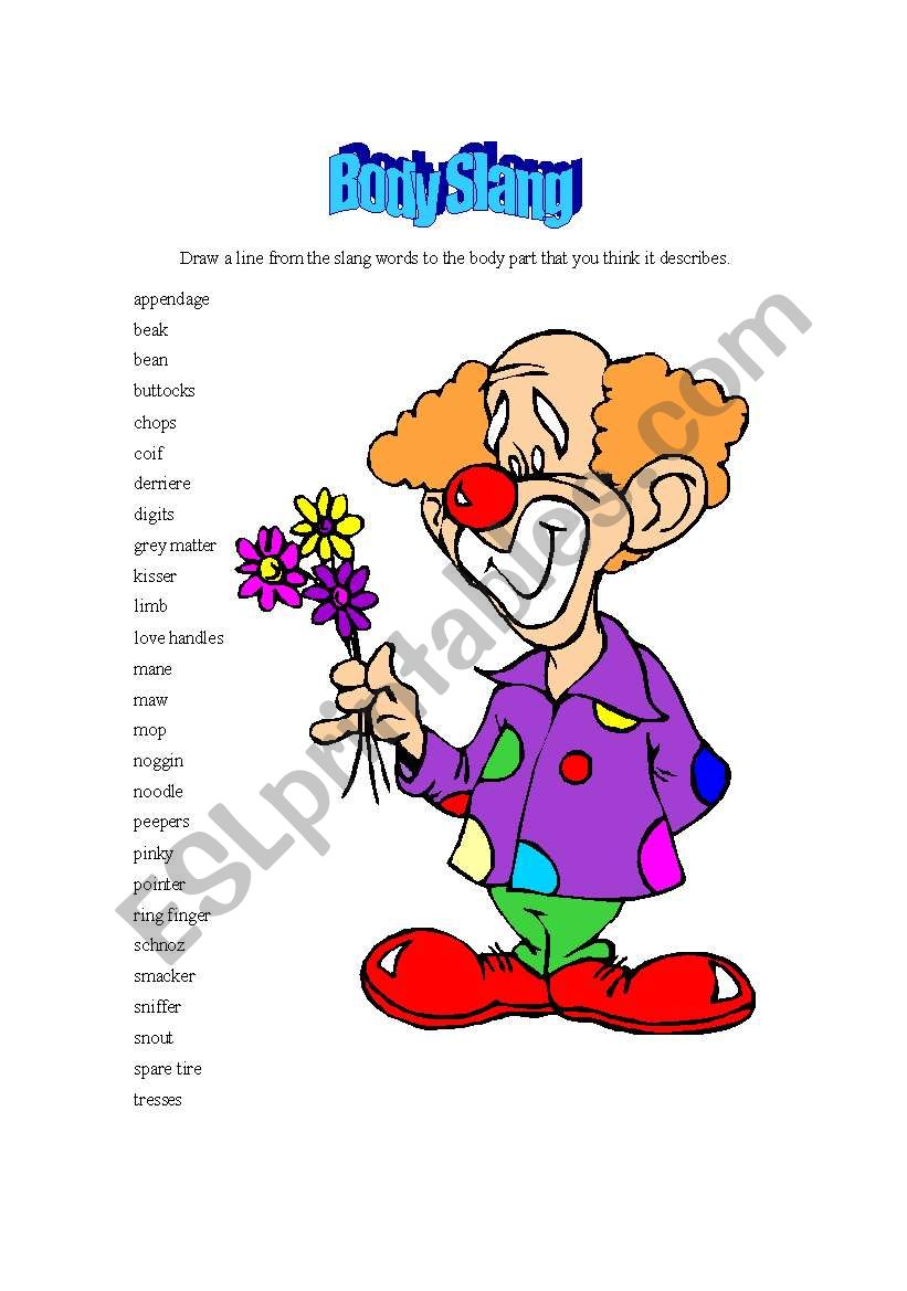 Body Slang worksheet