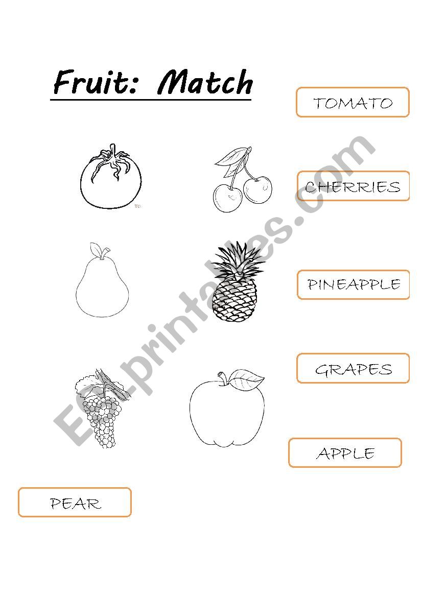 Match the fruits worksheet
