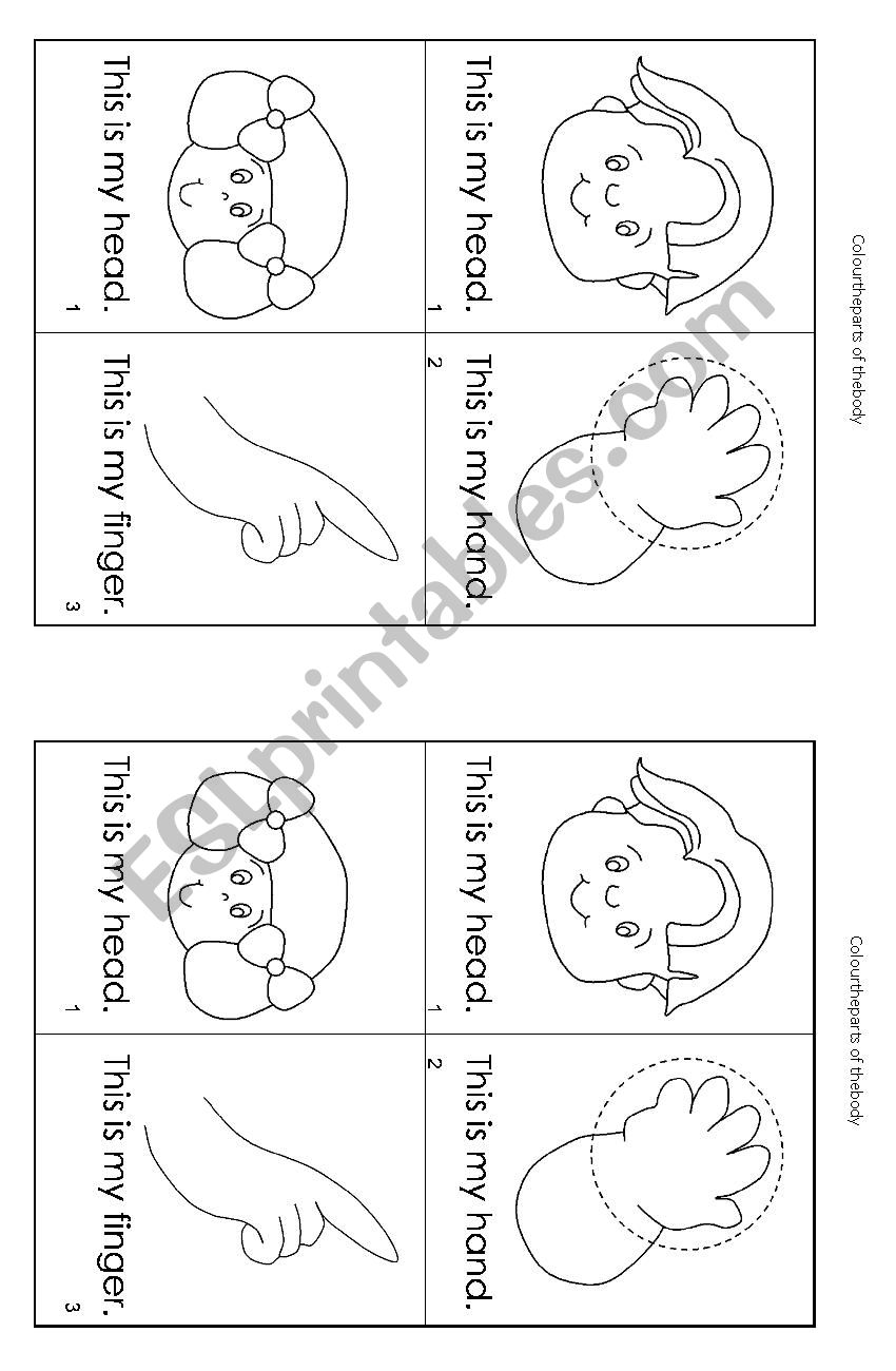 Parts of the body worksheet