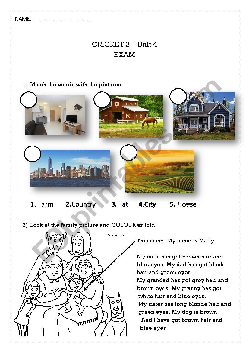 CRICKET EXAM - Physical description, adjectives, places to live, family ...