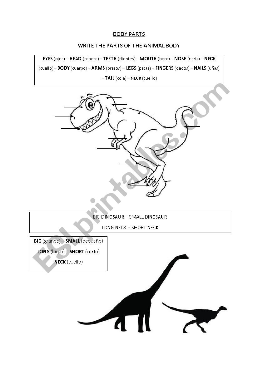 DINOSAUR BODY PARTS worksheet