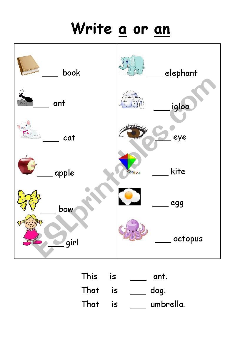A or An  worksheet