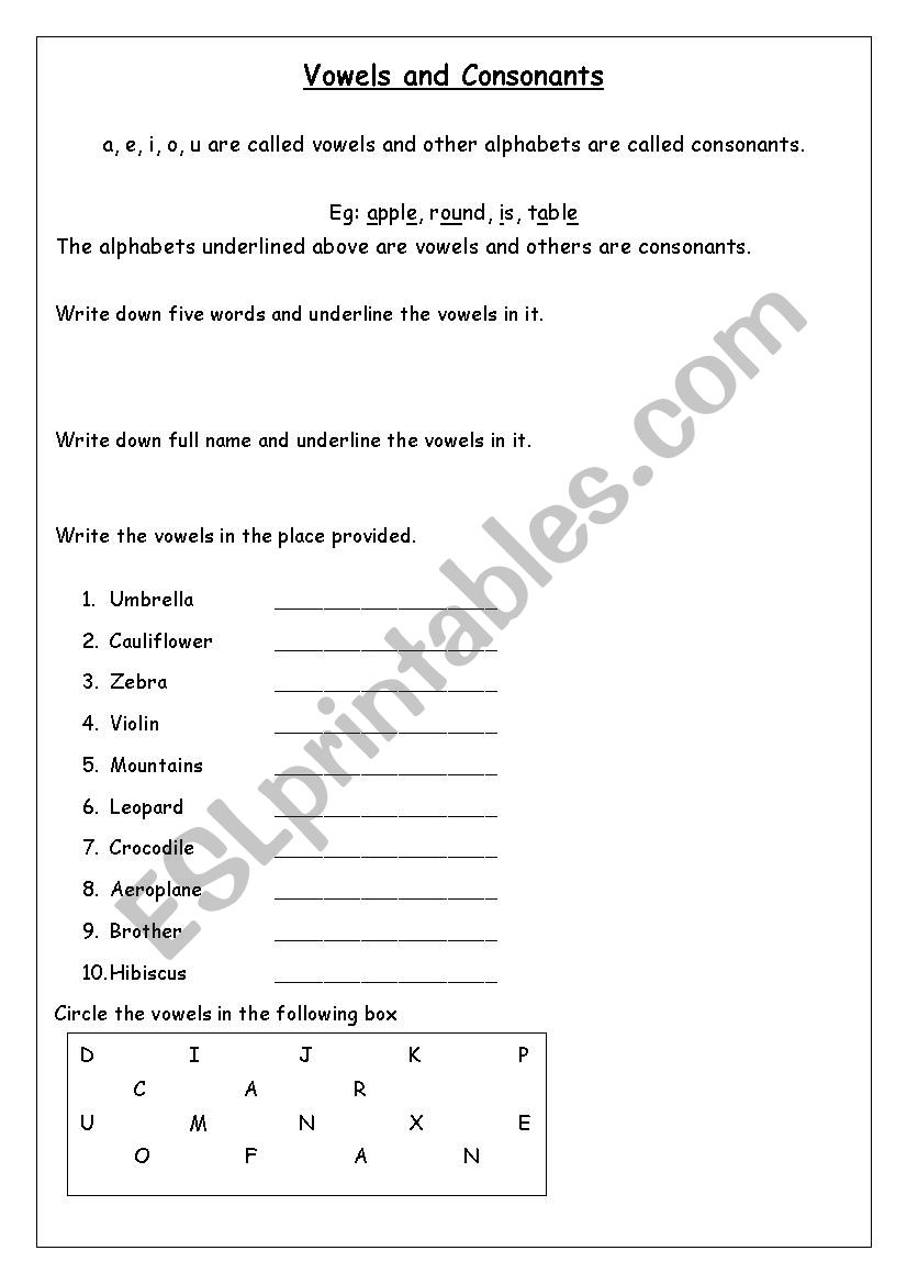 vowels and consonants worksheet