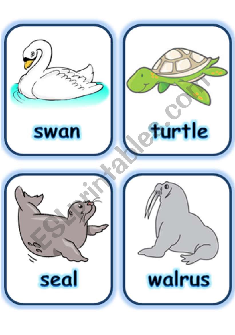  FLASHCARD SET 5- SEA ANIMALS AND CREATURES - PART 1 OF 3 (30.07.2008)