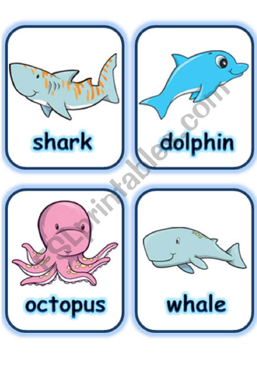  FLASHCARD SET 5- SEA ANIMALS AND CREATURES - PART 2 OF 3 (30.07.2008)