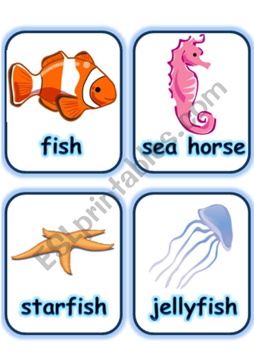  FLASHCARD SET 5- SEA ANIMALS AND CREATURES - PART 3 OF 3 (30.07.2008)