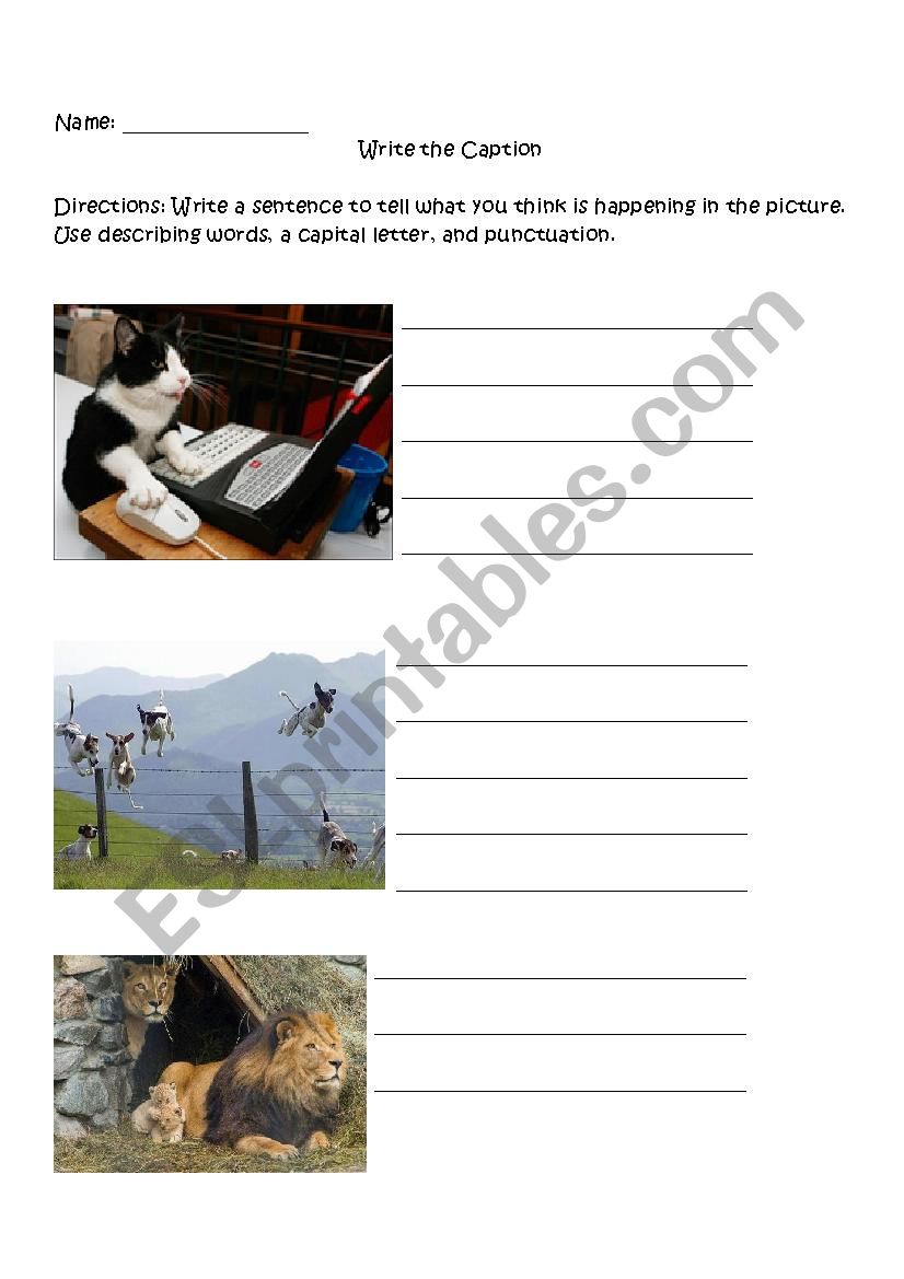 Write the caption - silly writing activity for multiple grade levels