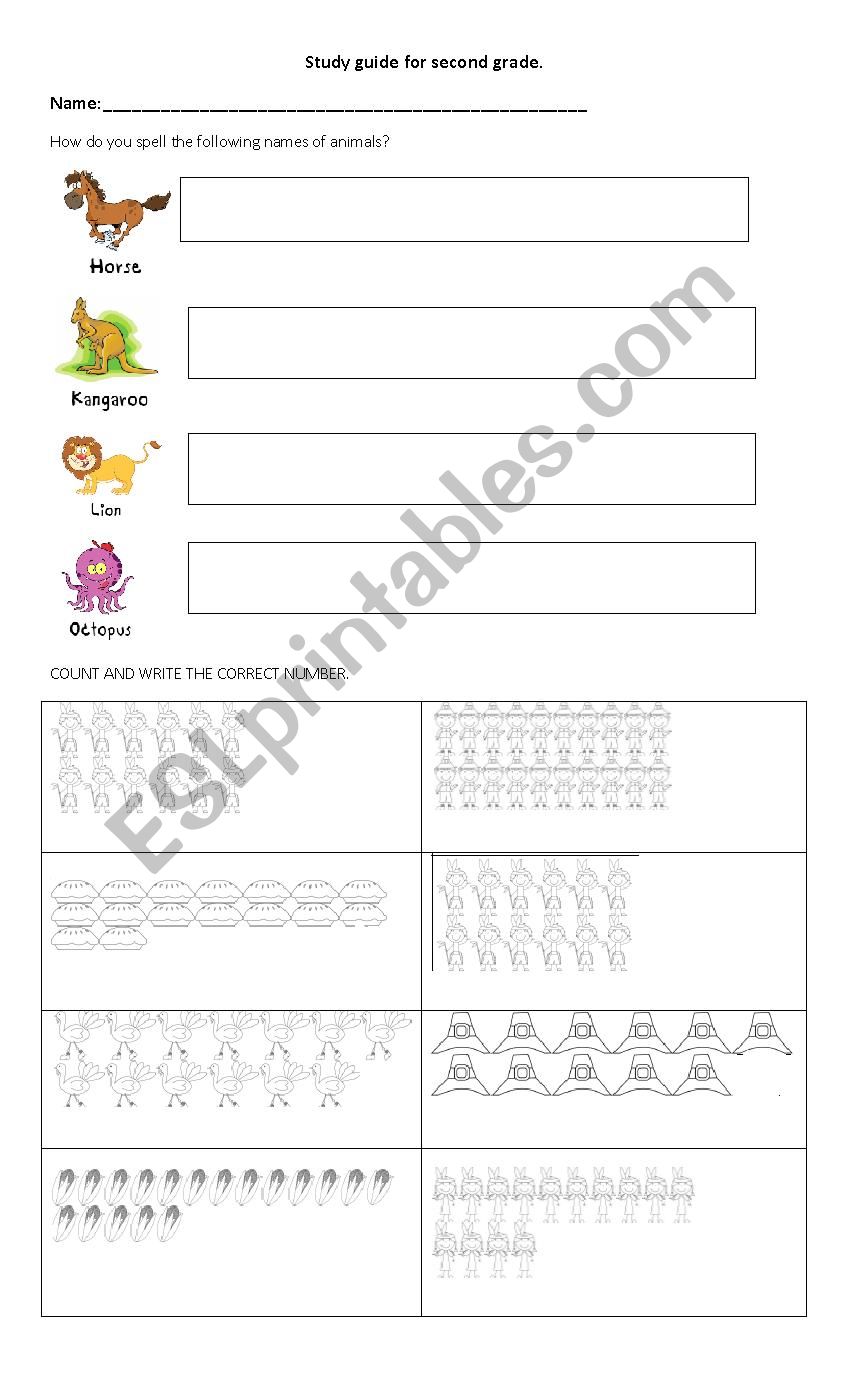 spelling worksheet worksheet