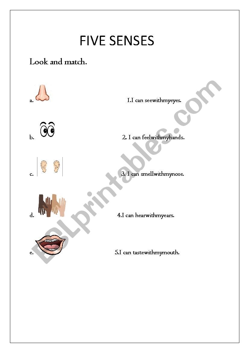 five senses worksheet