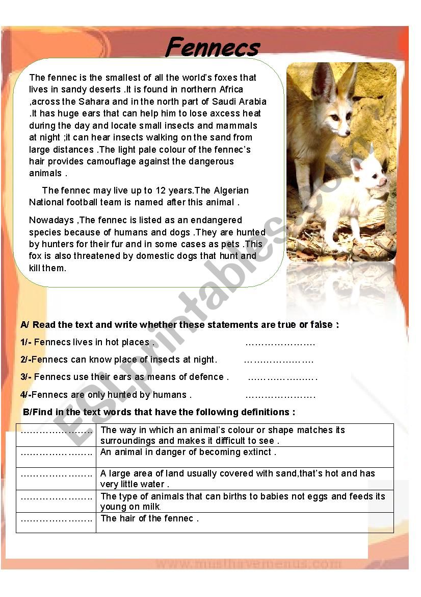 Endangered Animals (Fennecs)  worksheet