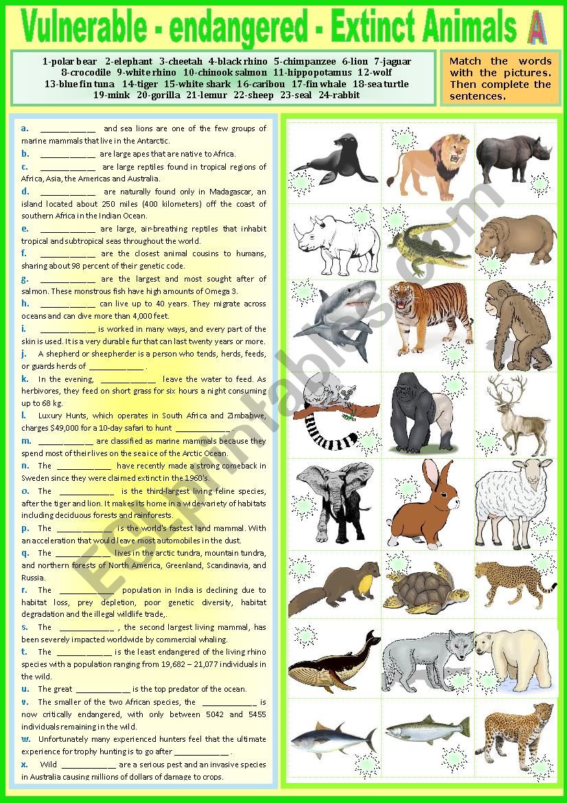 Vulnerable - Endangered - Extinct animals - A. Complete + KEY - ESL  worksheet by karagozian